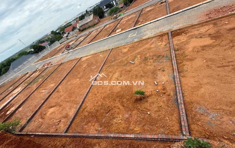 BÁN ĐẤT VỊ TRÍ SIÊU ĐẸP GIÁ F0 TẠI TAM NÔNG PHÚ THỌ TỪ 8TR/m2